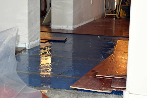 Professional Burst Pipe Cleanup technician working in Leesville, LA
